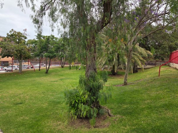 Grünflächen mit Bäumen im Parque Santa Úrsula, ideal zum Spazieren und Entspannen.