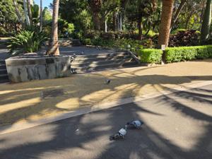Tauben auf den Wegen im Park