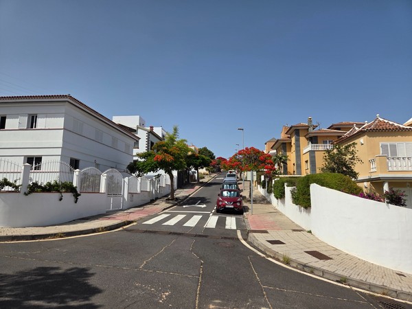 Ruhige Wohnstraße in Costanera mit Zebrastreifen, Vorgärten und blühenden Bäumen.