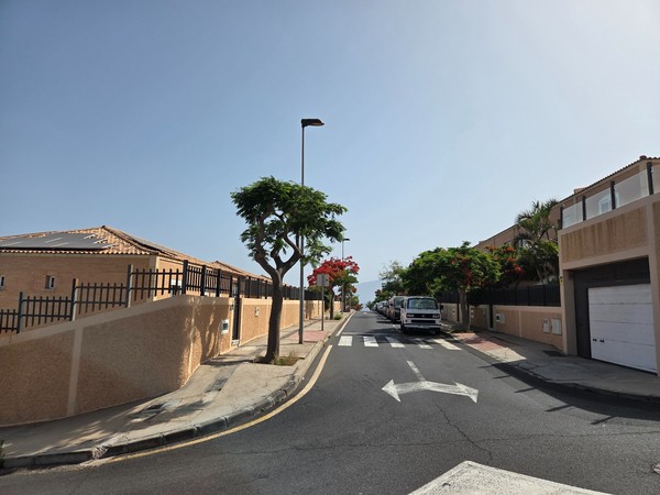 Geradlinige Nebenstraße in Costanera mit parkenden Autos und blühenden Bäumen entlang des Gehwegs.