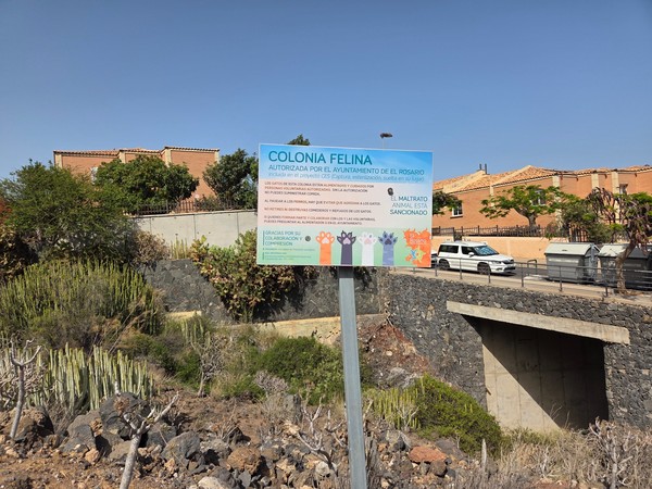 Hinweistafel zur von der Gemeinde El Rosario autorisierten Katzenkolonie (Colonia Felina) in Costanera.