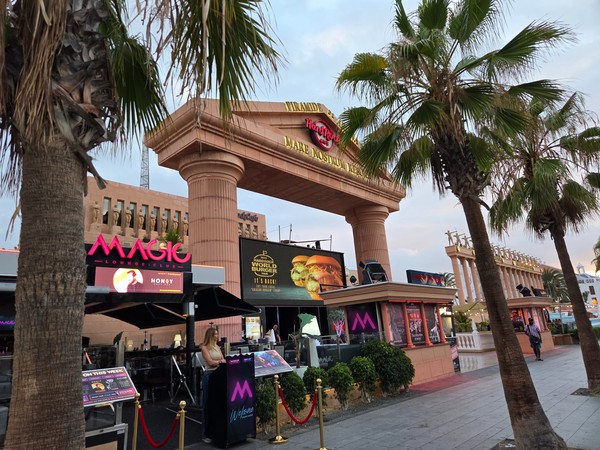 Eingang des Hard Rock Cafe Tenerife mit Pyramidenbogen, Palmen und umliegenden Bars an der Avenida de las Américas.