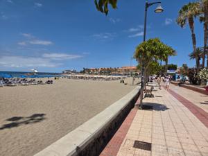 Strandpromenade mit Palmen an der Playa de Las Vistas