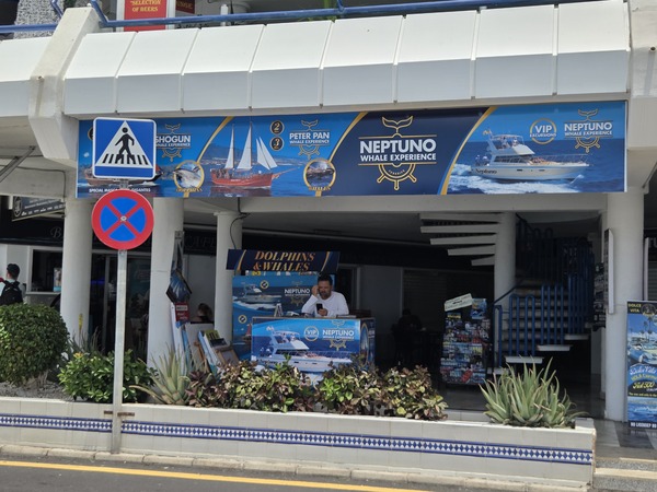 Neptuno Whale Experience